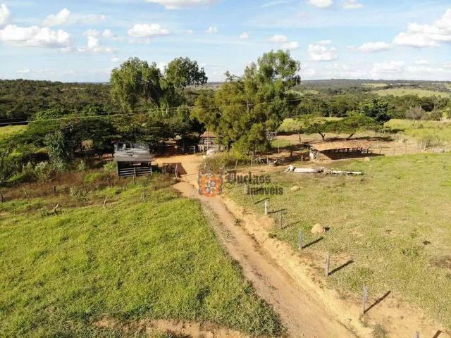 Fazenda venda em Região Geográfica Imediata de Curvelo, Curvelo