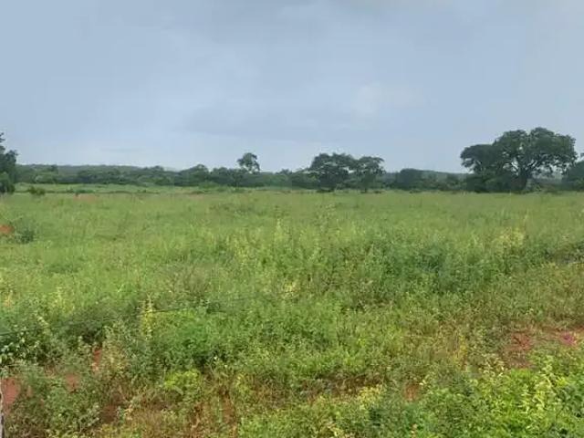 Fazenda venda em Região Geográfica Imediata de Curvelo, Curvelo