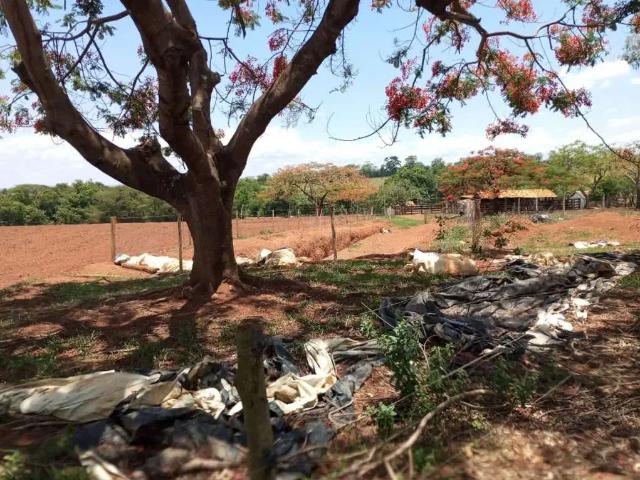 Fazenda venda em Região Geográfica Imediata de Curvelo, Curvelo