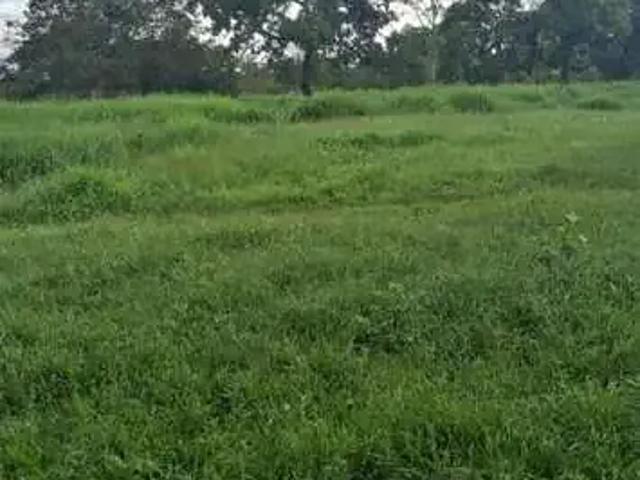 Fazenda venda em Região Geográfica Imediata de Curvelo, Curvelo