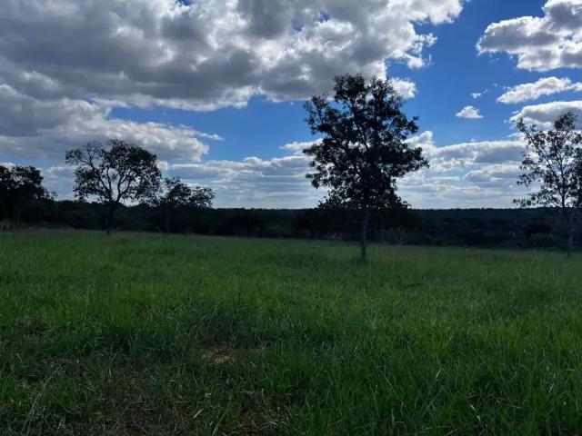 Fazenda venda em Região Geográfica Imediata de Curvelo, Curvelo