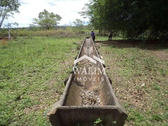 Fazenda venda em Região Geográfica Imediata de Curvelo, Curvelo
