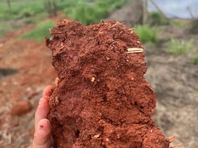 Fazenda venda em Região Geográfica Imediata de Curvelo, Curvelo