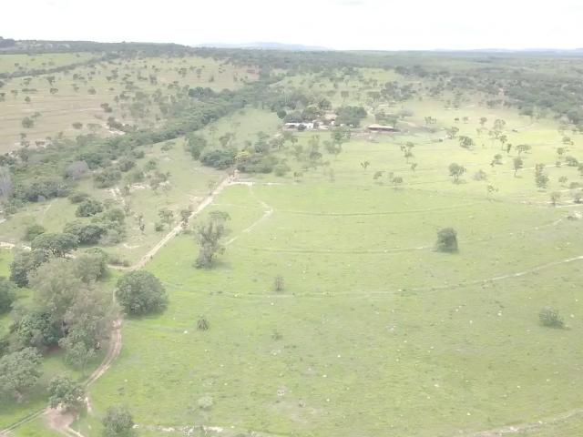 Fazenda venda em Região Geográfica Imediata de Curvelo, Curvelo