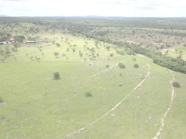 Fazenda venda em Região Geográfica Imediata de Curvelo, Curvelo