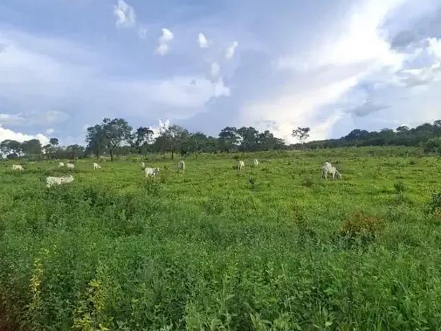 Fazenda venda em Região Geográfica Imediata de Curvelo, Curvelo