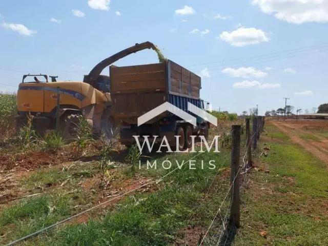 Fazenda venda em Centro, Curvelo