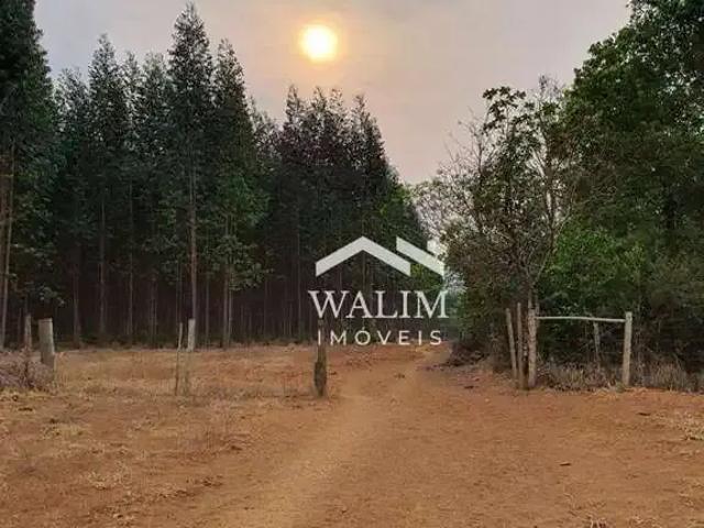 Fazenda venda em Centro, Curvelo