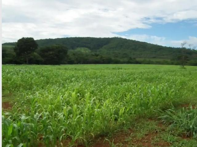 Fazenda venda em Região Geográfica Imediata de Curvelo, Curvelo