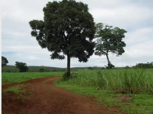 Fazenda venda em Região Geográfica Imediata de Curvelo, Curvelo