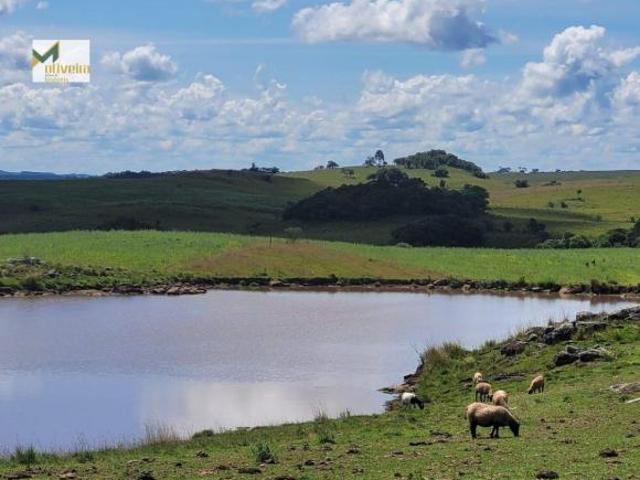 Sítio e chácara venda em Rincão, São Francisco de Paula