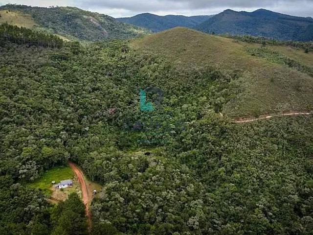 Fazenda venda em Região Geográfica Imediata de Itajubá, Delfim Moreira