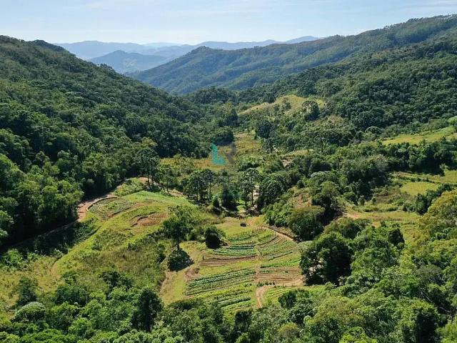 Fazenda venda em Região Geográfica Imediata de Itajubá, Delfim Moreira