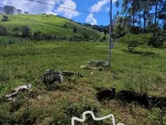 Fazenda venda em Região Geográfica Imediata de Itajubá, Delfim Moreira