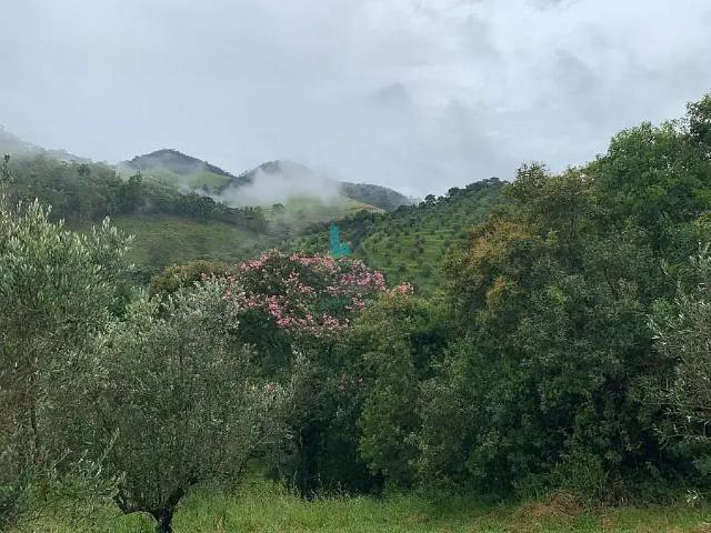 Fazenda venda em Região Geográfica Imediata de Itajubá, Delfim Moreira