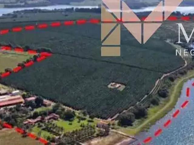 Fazenda venda em Região Geográfica Imediata de Passos, Delfinópolis