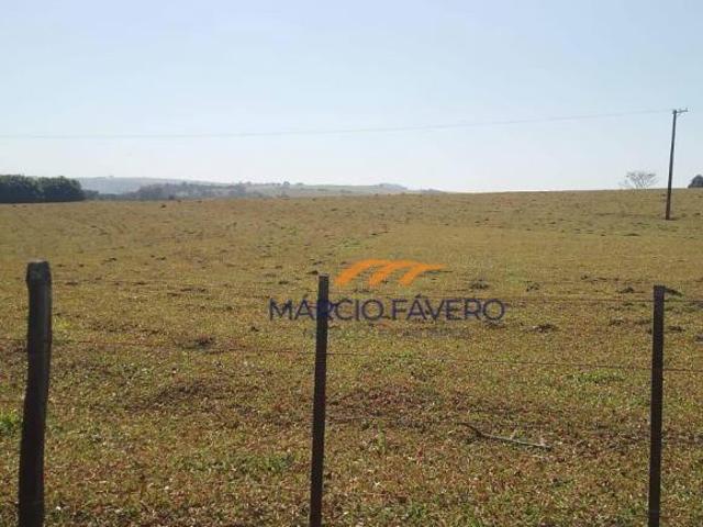 Sítio e chácara venda em Região Imediata de São Carlos, Descalvado
