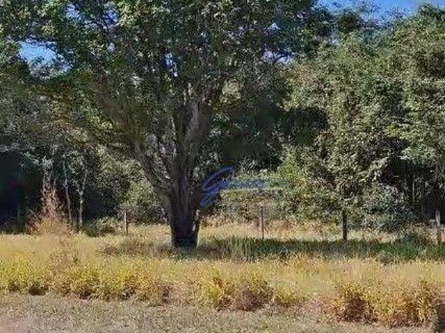 Sítio e chácara venda em Região Imediata de São Carlos, Descalvado