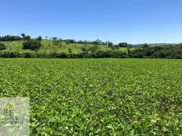 Fazenda venda em Diamante d'Oeste, Região Geográfica Intermediária de Cascavel