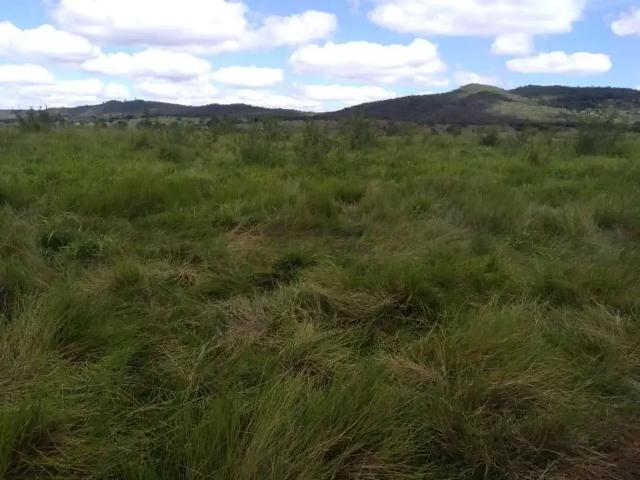 Fazenda venda em Região Geográfica Imediata de Ipatinga, Região Metropolitana do Vale do Aço