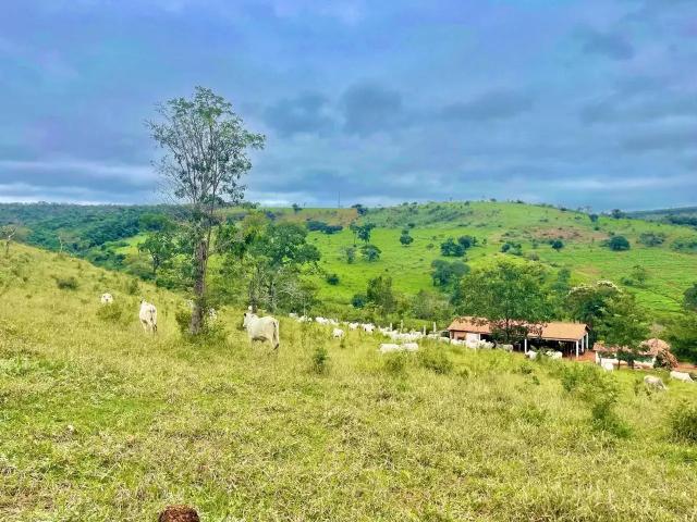 Fazenda venda em Região Geográfica Imediata de Diamantina, Diamantina
