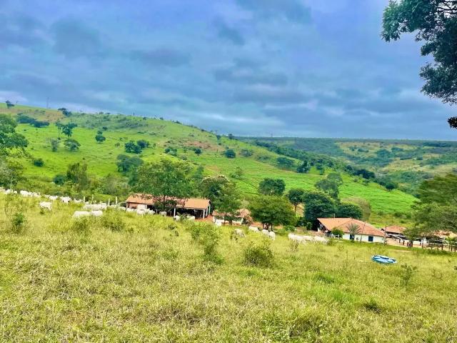 Fazenda venda em Região Geográfica Imediata de Diamantina, Diamantina