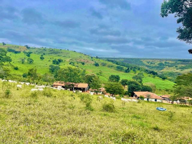 Fazenda venda em Diamantina, Região Geográfica Intermediária de Teófilo Otoni