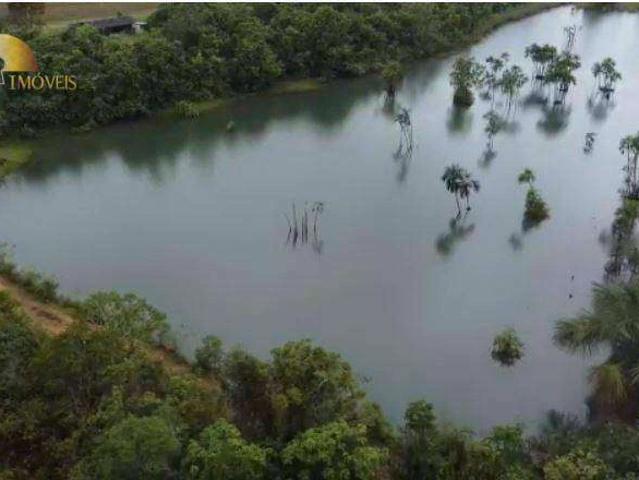 Fazenda venda em Diamantino, Região Geográfica Intermediária de Cuiabá