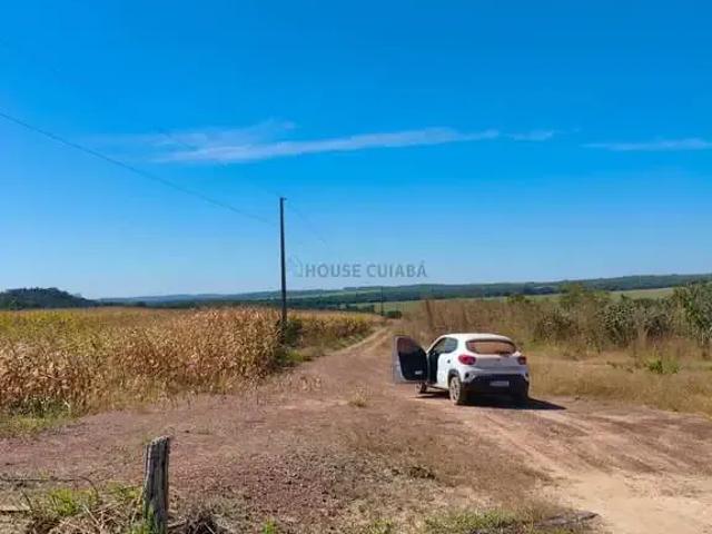 Fazenda venda em Região Geográfica Imediata de Diamantino, Diamantino