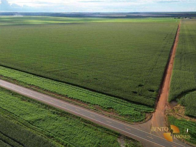 Fazenda venda em Diamantino, Região Geográfica Intermediária de Cuiabá