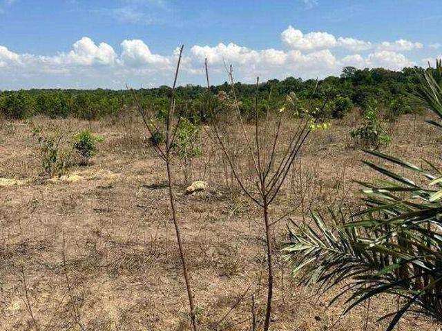 Fazenda venda em Diamantino, Região Geográfica Intermediária de Cuiabá