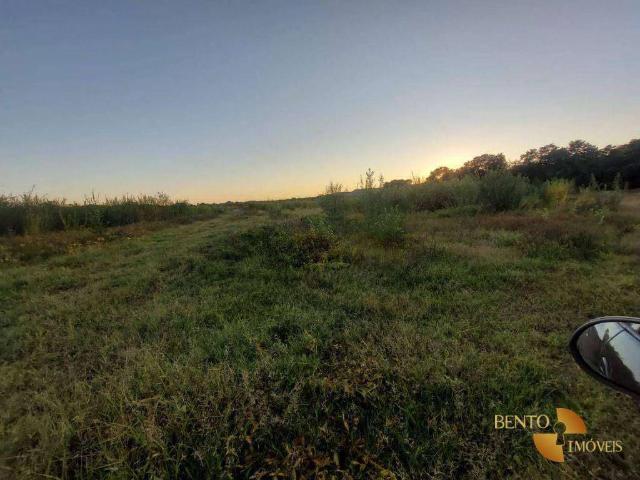 Fazenda venda em Diamantino, Região Geográfica Intermediária de Cuiabá