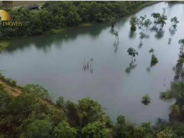 Fazenda venda em Região Geográfica Imediata de Diamantino, Diamantino