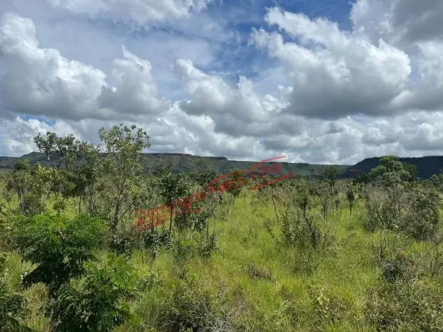 Fazenda venda em Região Geográfica Imediata de Dianópolis, Dianópolis