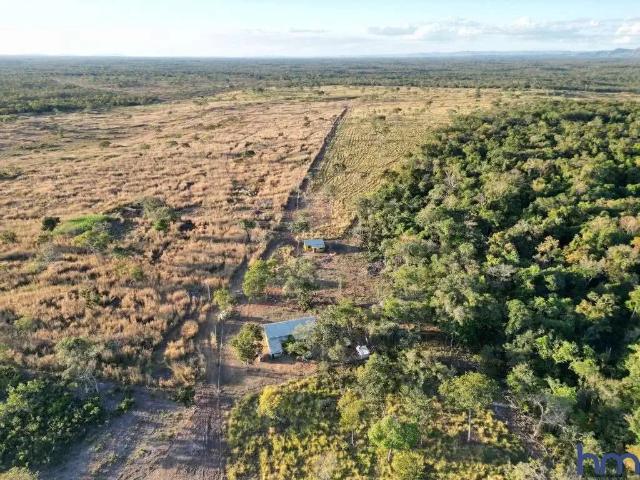 Fazenda venda em Região Geográfica Imediata de Dianópolis, Dianópolis