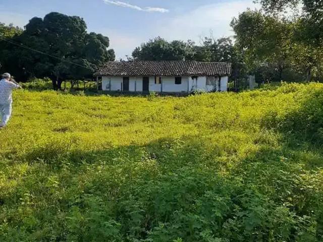 Fazenda venda em Região Geográfica Imediata de Dianópolis, Dianópolis