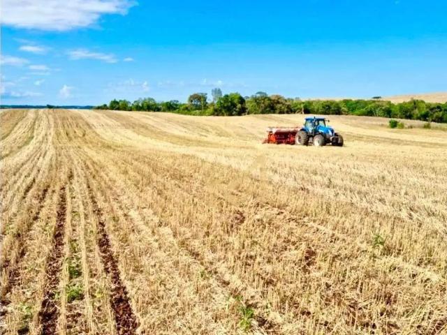Fazenda venda em Região Geográfica Imediata de São Miguel do Oeste, Dionísio Cerqueira