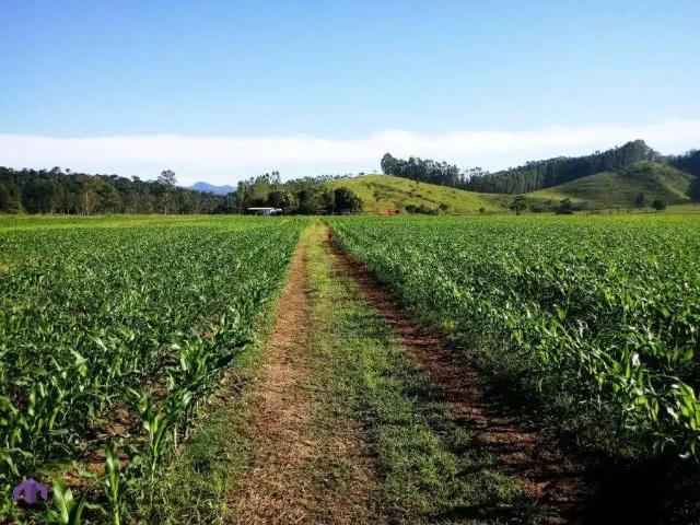 Fazenda venda em Região Geográfica Imediata de Ipatinga, Dionísio