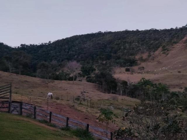 Fazenda venda em Dionísio, Região Geográfica Intermediária de Ipatinga