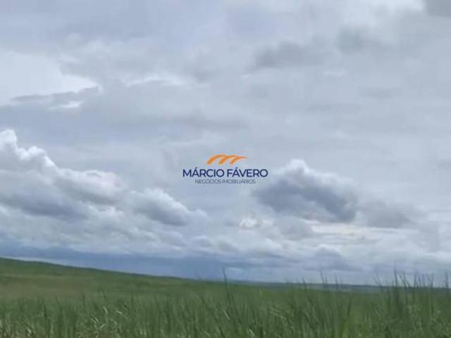 Sítio e chácara venda em Dois Córregos
