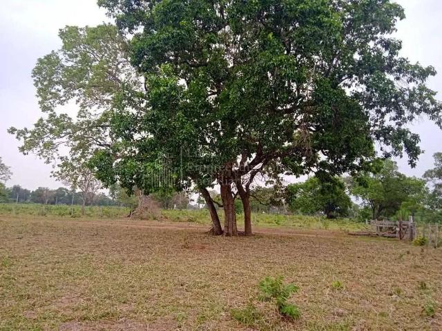 Fazenda venda em Região Geográfica Imediata de Campo Grande, Dois Irmãos do Buriti