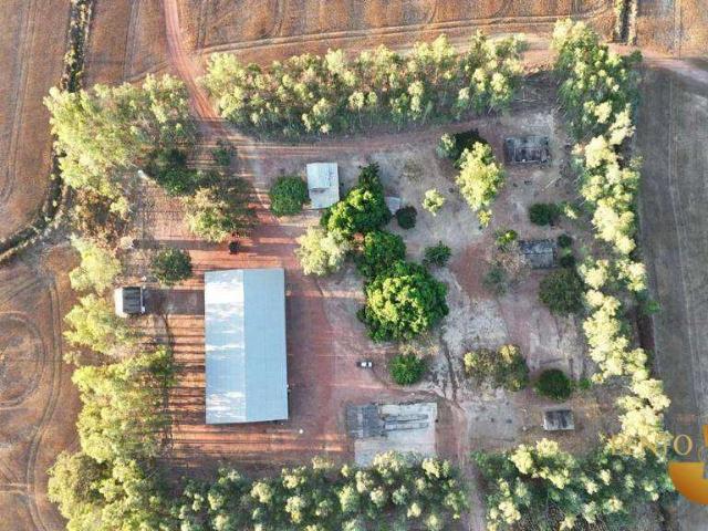 Fazenda venda em Dois Irmãos do Tocantins, Região Geográfica Intermediária de Palmas
