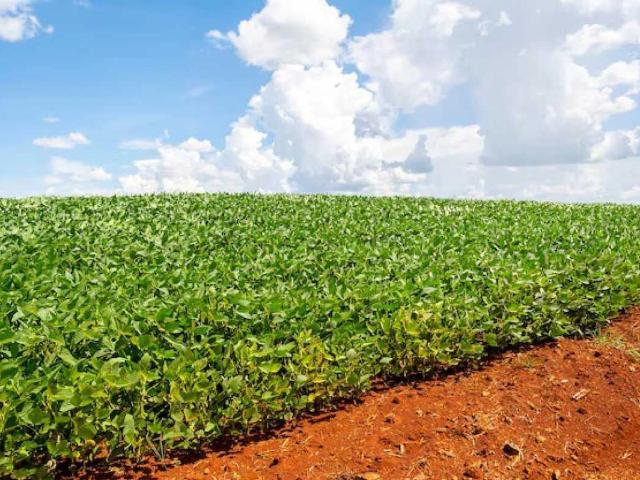 Fazenda venda em Dois Vizinhos, Região Geográfica Intermediária de Cascavel