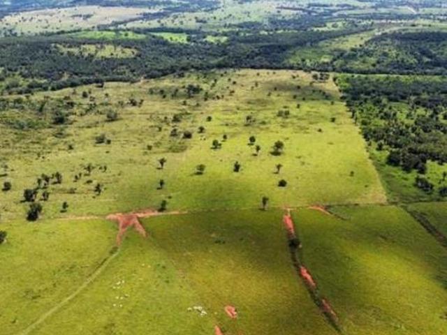 Sítio e chácara venda em Região Geográfica Imediata de Jaciara, Dom Aquino