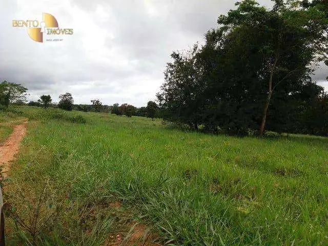 Fazenda venda em Região Geográfica Imediata de Jaciara, Dom Aquino