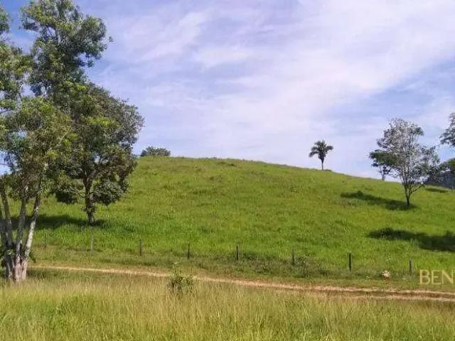 Fazenda venda em Região Geográfica Imediata de Jaciara, Dom Aquino