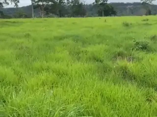 Fazenda venda em Região Geográfica Imediata de Jaciara, Dom Aquino