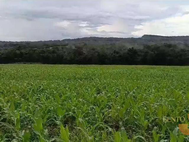 Fazenda venda em Região Geográfica Imediata de Jaciara, Dom Aquino