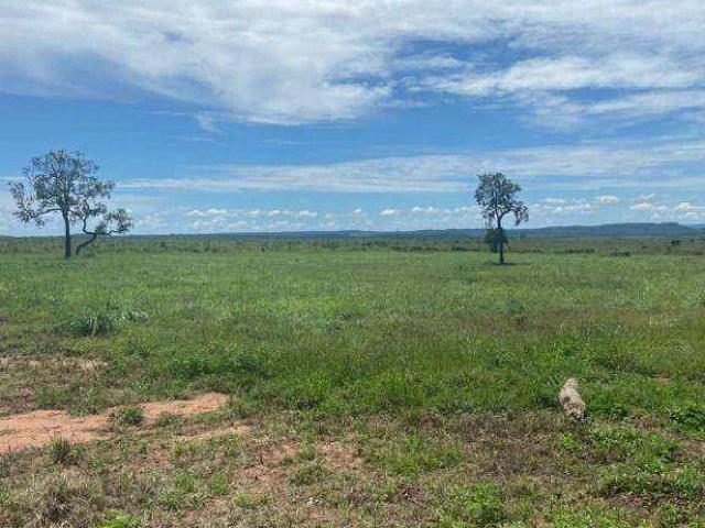 Fazenda venda em Dom Aquino, Região Geográfica Intermediária de Rondonópolis