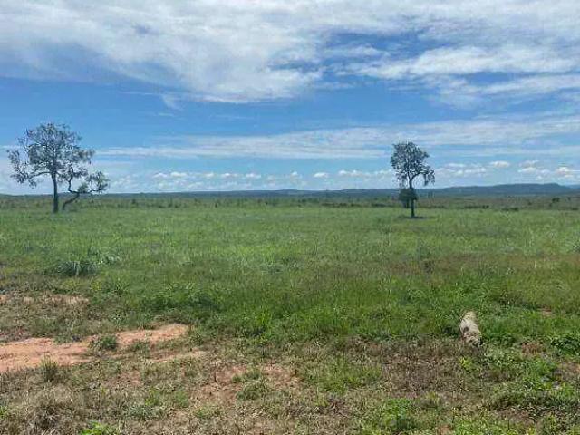 Fazenda venda em Região Geográfica Imediata de Jaciara, Dom Aquino
